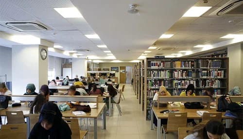 المكتبة